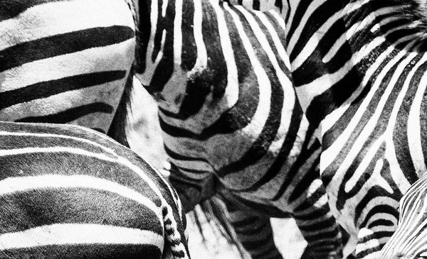 Achieving Brand Differentiation Strategy