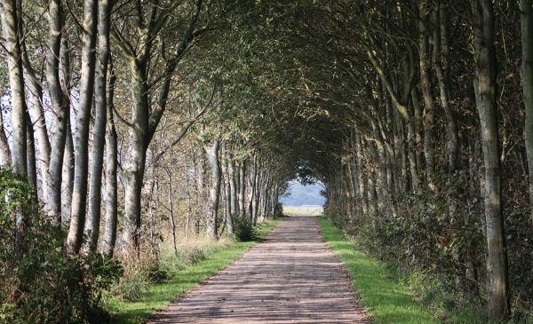 Creating New Markets And Barriers To Entry